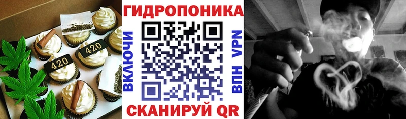 купить наркотик  Гудермес  МЕГА вход  Canna-Cookies конопля 