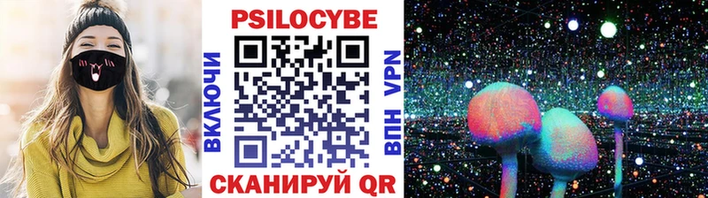ссылка на мегу вход  Гудермес  Галлюциногенные грибы Psilocybe  цена  