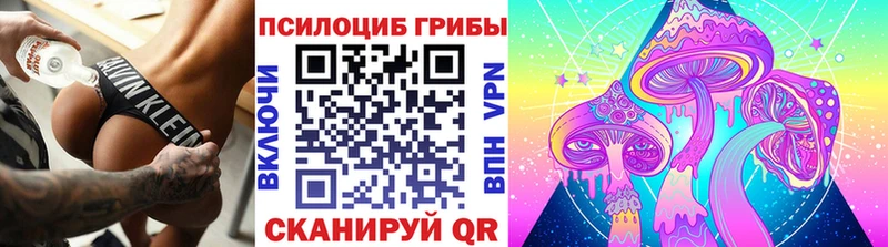 Псилоцибиновые грибы мицелий Гудермес